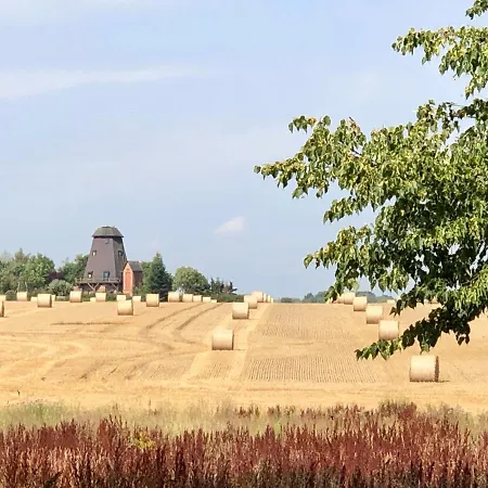 Es Gibt Nichts Zu Tun - Ostsee Naehe Usedom Spantekow Exterior photo