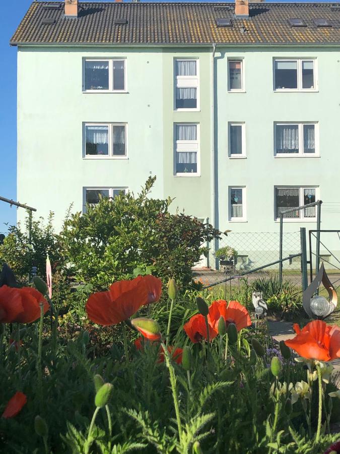 Apartment Es Gibt Nichts Zu Tun - Ostsee Naehe Usedom